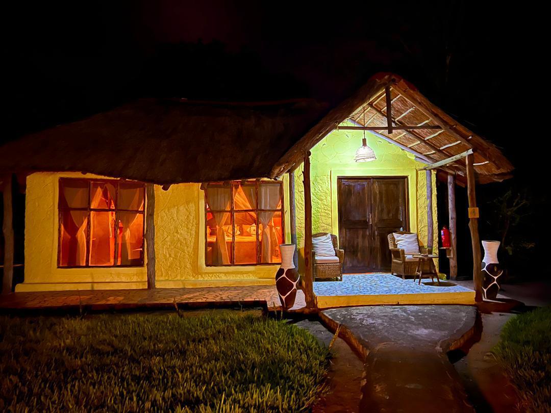 Selous Game Reserve / Nyerere National Park Safari Guide